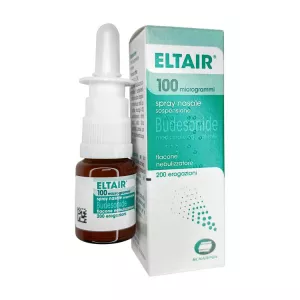Будостер спрей полный аналог Италия Eltair спрей 100мкг 200доз